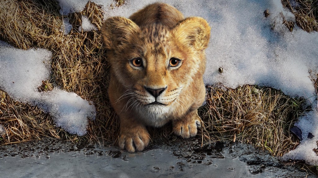 MUFASA: A Story Fit For A&nbsp;King